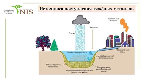 Тяжелые металлы в энергетике и транспорте