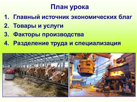 Услуги и специализация