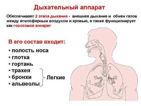  Защита дыхательной системы и кожи 