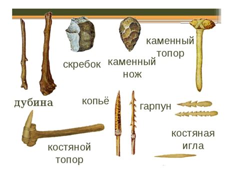  Истоки первобытных орудий 