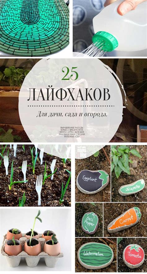  Полезные советы 