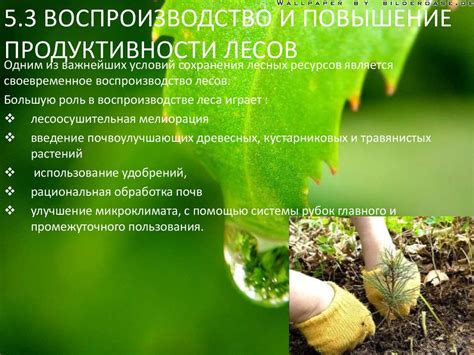  Рекомендации по использованию тосола 
