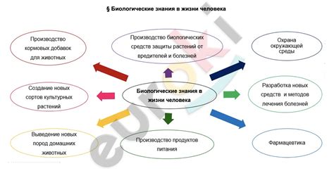Na2O: роль в жизни человека
