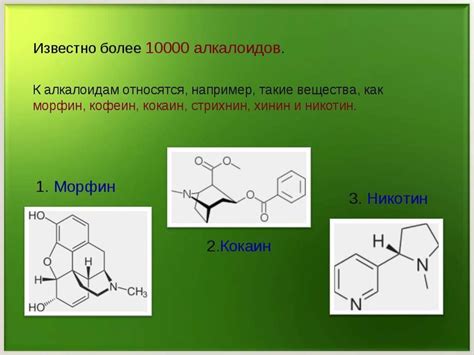 Биологически активные вещества в сыре "Белая вдова"