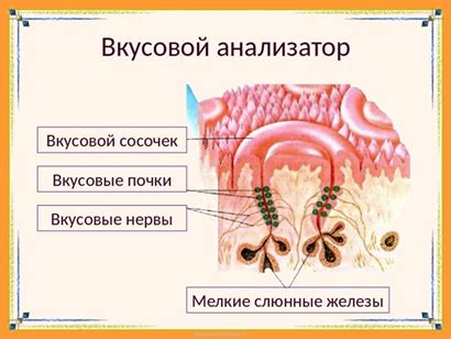 Вкусовая совместимость