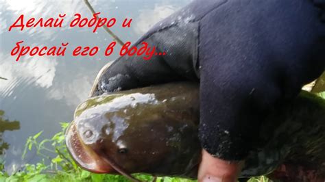 Добро в воду