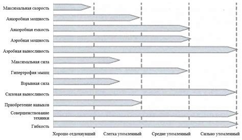 Индивидуальный подход к оценке и коррекции ритма