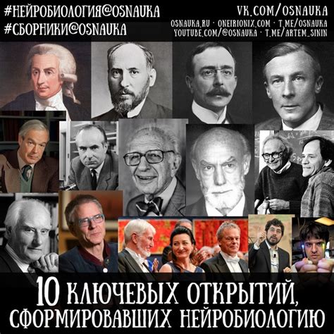 Интересные факты и курьезы связанные с выражением