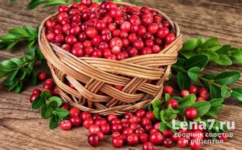 Как повышается хранение кипяченой клюквы