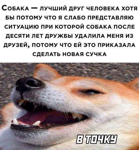 Мемы и шутки в интернете