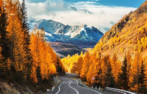 Места, где можно встретить
