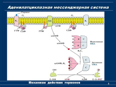 Механизм действия переноса графита