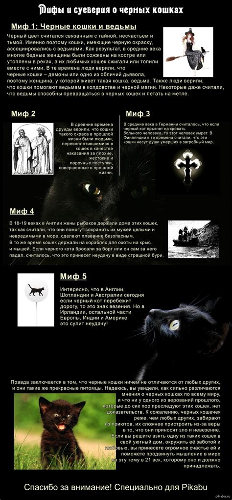 Мифы и легенды о котах