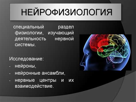 Нейрофизиология
