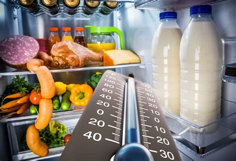 Определите оптимальную температуру хранения продуктов