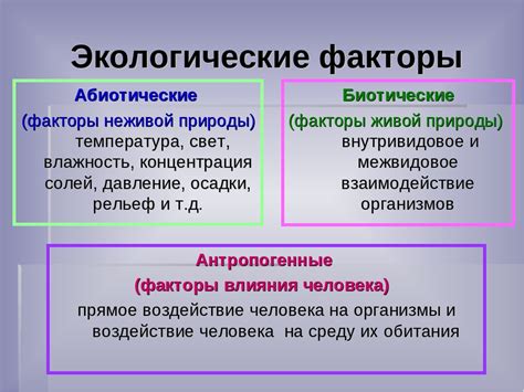Основные факторы и среды слизи выделения