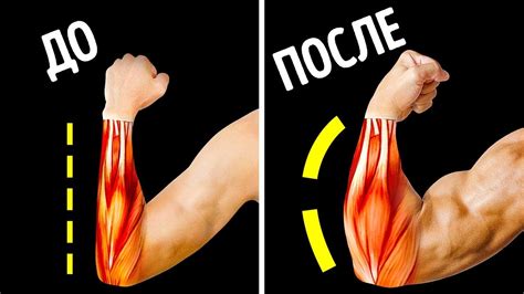 Паутина на предплечье: сила и защита