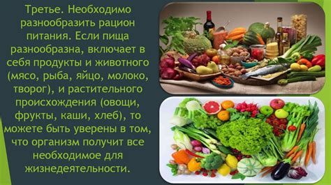Питание и рацион животного