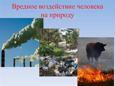 Положительное воздействие