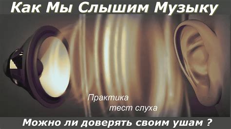 Потеря звука в расте: причины