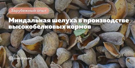 Риски высокобелковых кормов