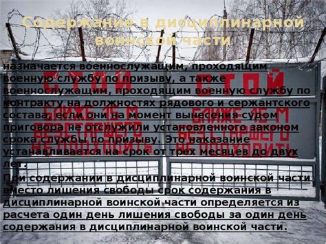 Россия: статьи УК и виды наказаний