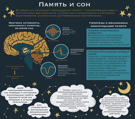Сон и мозг