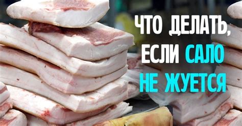  Как смягчить шкуру сала 