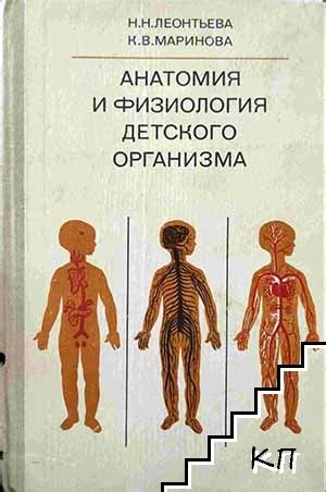 Анатомия и физиология женского организма