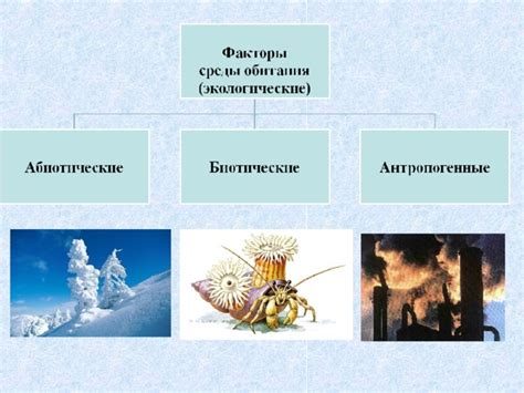 Антропогенные факторы и потеря среды обитания