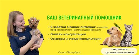 Важность консультации ветеринара