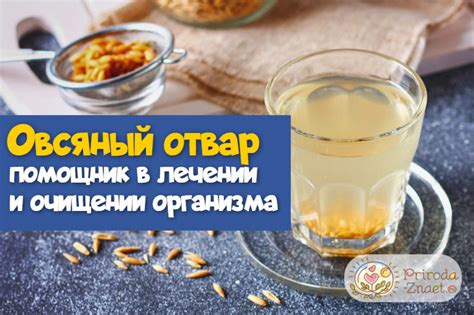 Как отвар овса влияет на организм