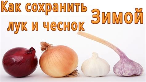Как правильно подготовить принтер к хранению на морозе