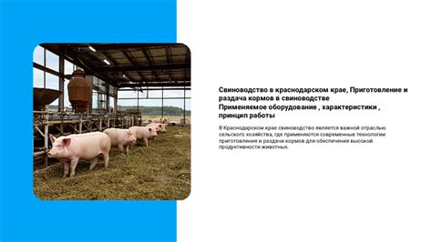 Материалы и обработка полов в свиноводстве