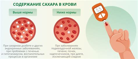 Мифы и факты: влияние калмыцкого чая на уровень сахара в крови при диабете