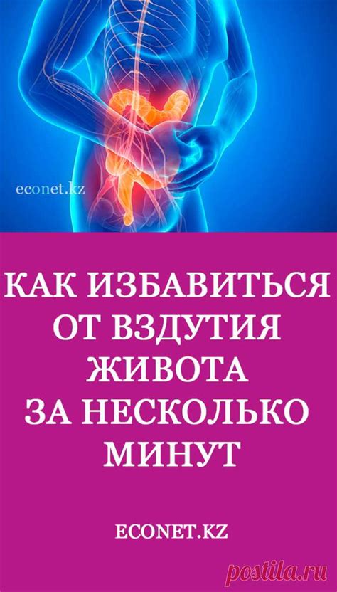 Нарушение пищеварения: проблемы с перевариванием пищи
