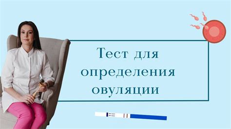 Основные моменты овуляции