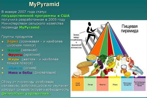 Основы здорового питания и режим дня