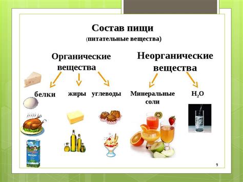 Питательные вещества