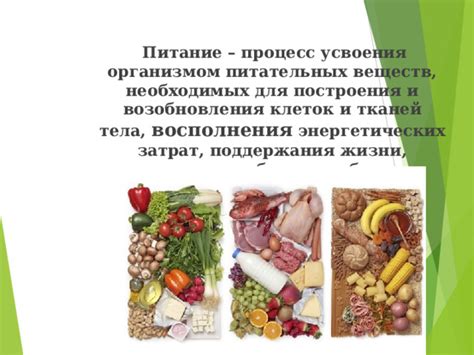 Поступление необходимых питательных веществ