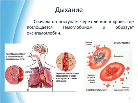 Потеря кислорода в организме