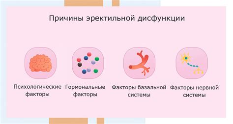 Причины возникновения эрекции в момент поцелуя