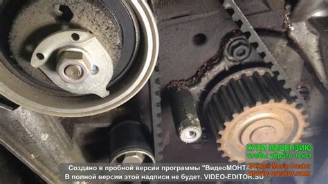 Проблемы, связанные с функционированием гидронатяжителя в системе ГРМ автомобиля Пассат Б5