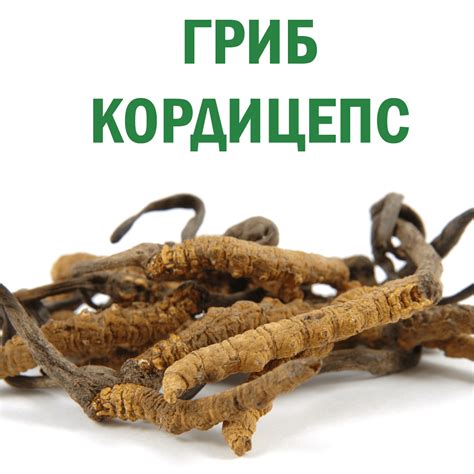 Противопоказания при употреблении