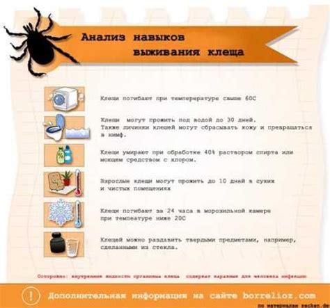 Профилактика боррелиоза: важные аспекты и способы защиты