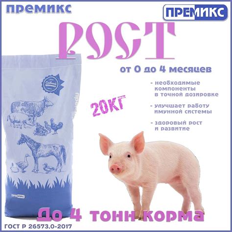 Рекомендации по подбору корма для поросят