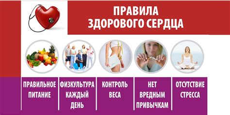 Роль чаги в профилактике заболеваний сердечно-сосудистой системы
