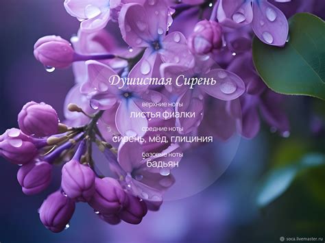 Сирень и ель: ароматическое сочетание