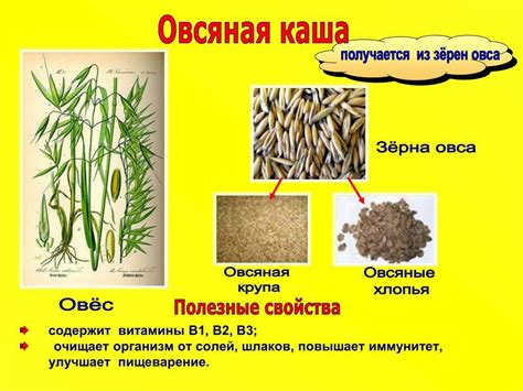 Способы очистки овса