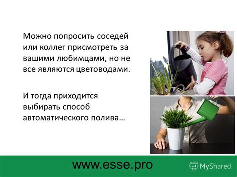 Способ 3: Попросить соседей-подсказать
